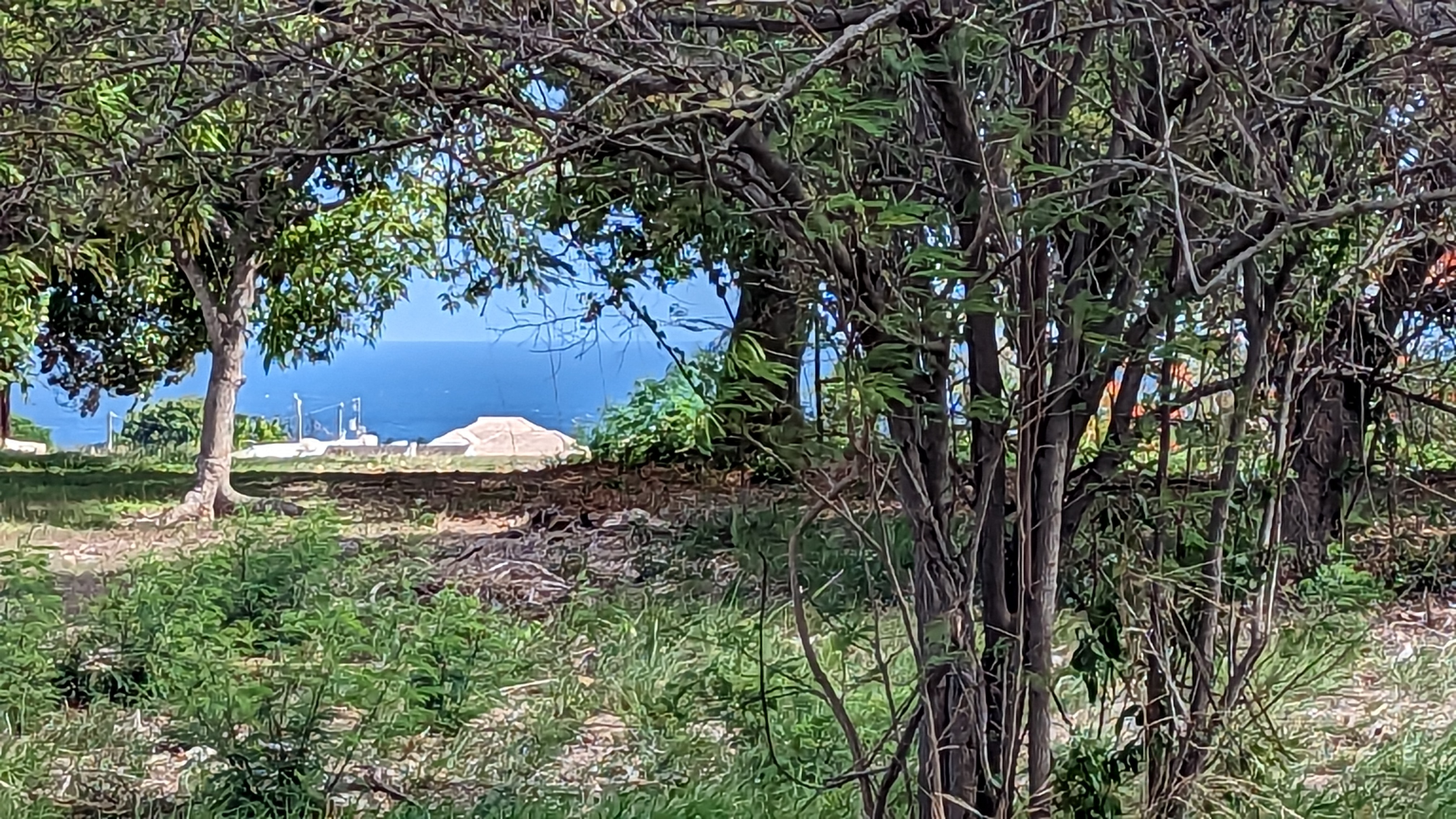 Coastal/Ridgeview land on Rendezvous Hill